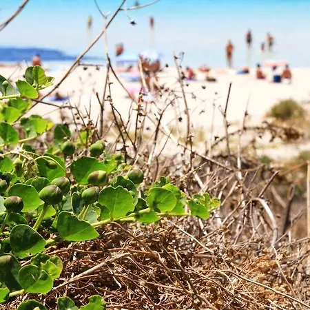 Lägenhetshotell Del Sole *